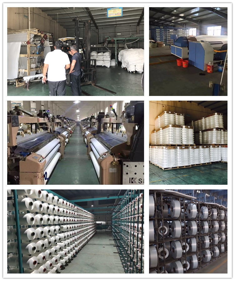 changxing wandu textile 2