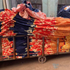2 Polyester Webbing Designs Screen Printing Fabric for Christmas Bedding Fabric