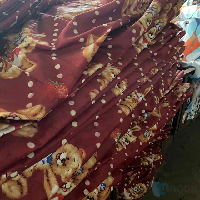Zhejiang Changxing Wandu 100% Polyester Printed Fabric Rolled Custom For Bedding
