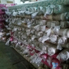 100 Polyester Clothing Pigment Printing Polyester Fabric for Table Cloth Garment Fabric Bulgaria 65GSM