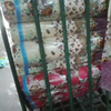 Wholesale Fabric የአልጋ አንሶላ ጨርቅvải Trải Giườngs Vải Nệm Suppliers China Fabric የአልጋ አንሶላ ጨርቅvải Trải Giường Набивна Тканина